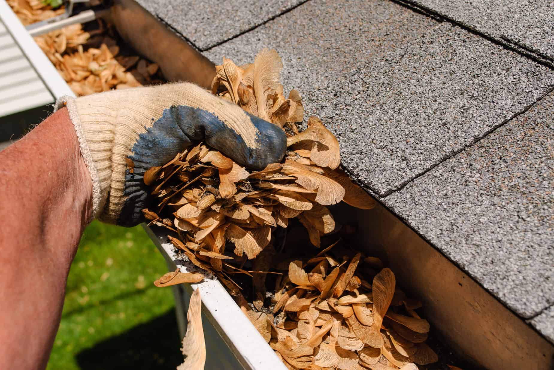 Gutter cleaning service Toronto